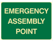 Emergency assembly point sign W450xH300mm poly