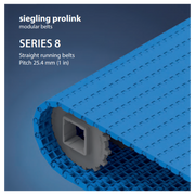 Prolink Belt S8 - Enter Details