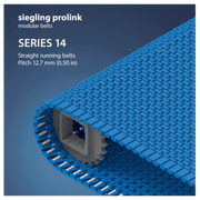 Prolink Belt S14 - Enter Details