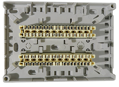 20 Pair Wall Box 2x Disconnect Module