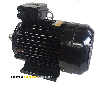 RCG CI IP55 132M 4kW 6P TEFC F B3 Foot Mount 415/3/50 Cast Iron Electric Motor 38mm Shaft