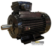 RCG IE3 CI IP55 225M 45kW 2P TEFC F B3 Foot Mount 415/3/50 Cast Iron Electric Motor 55mm Shaft