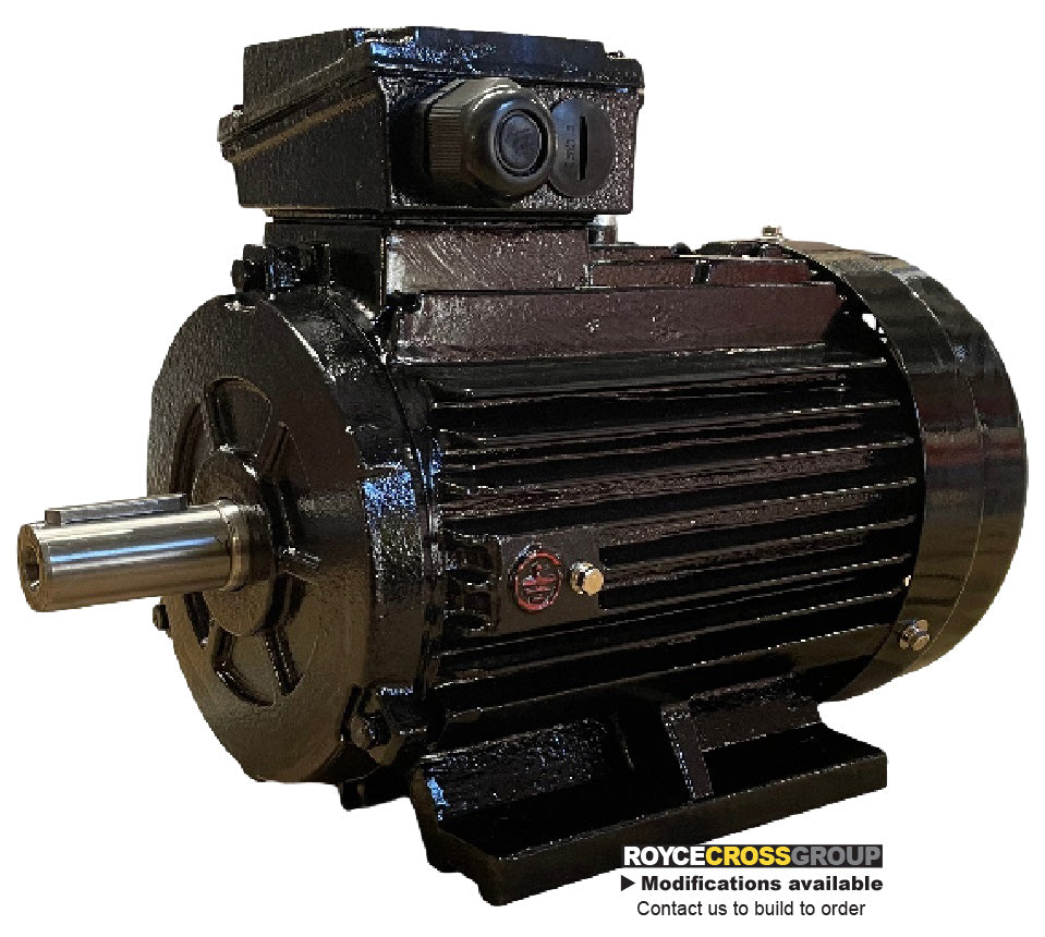 RCG IE3 CI IP55 225M 45kW 2P TEFC F B3 Foot Mount 415/3/50 Cast Iron Electric Motor 55mm Shaft