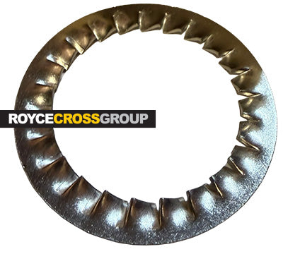 Serrated washer (SS304) - M50