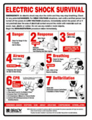 Workplace Electric Shock Survival Poster