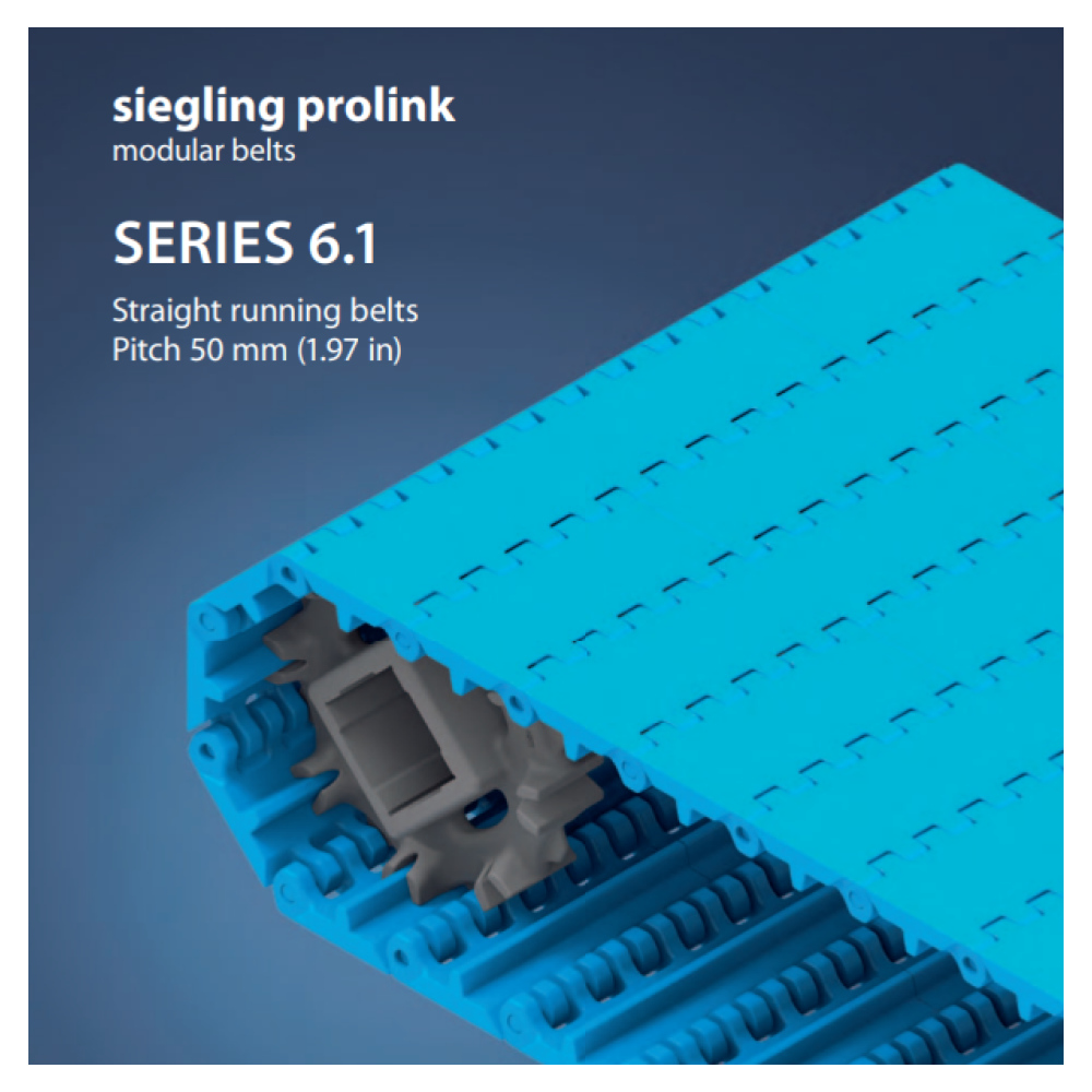 Prolink Belt S6.1 - Enter Details