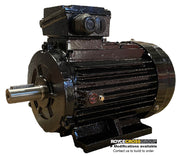 RCG CI IP55 132S 5.5kW 2P TEFC F B3 Foot Mount 415/3/50 Cast Iron Electric Motor 38mm Shaft