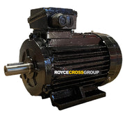 RCG cast iron D250M 55kW 2P B3 foot mount 415/3/50 IP55 motor with 60mm shaft