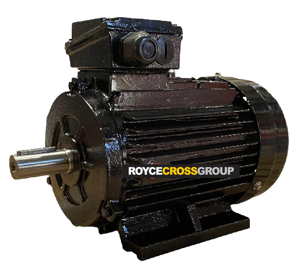 RCG cast iron D250M 55kW 2P B3 foot mount 415/3/50 IP55 motor with 60mm shaft