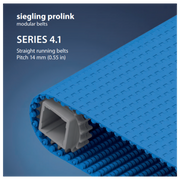 Prolink Belt S4.1 - Enter Details
