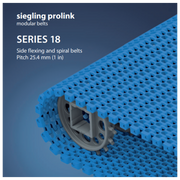 Prolink Belt S18 - Enter Details
